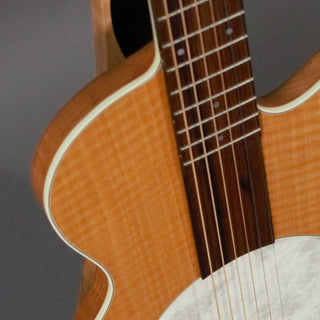 Small Wonder Banjo-Guitar