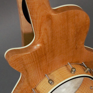 Small Wonder Banjo-Guitar