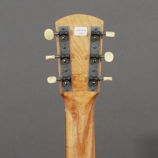 Small Wonder Banjo-Guitar