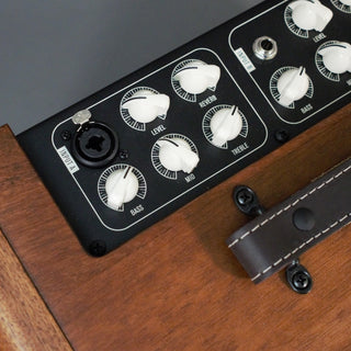 Circa 74 Acoustic Amplifier