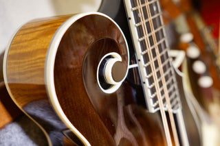 Close-up of an F-style mandolin