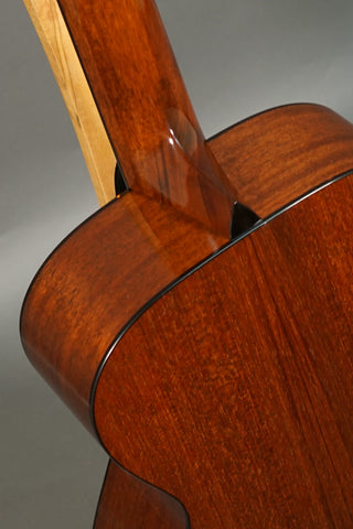 Collings 01
