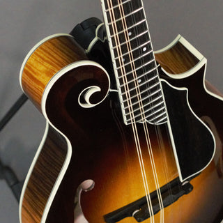 Collings MF5