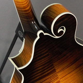 Collings MF5