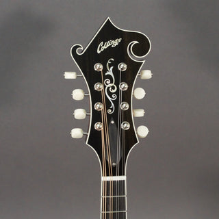 Collings MF5