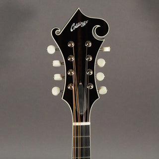 Collings MF Deluxe