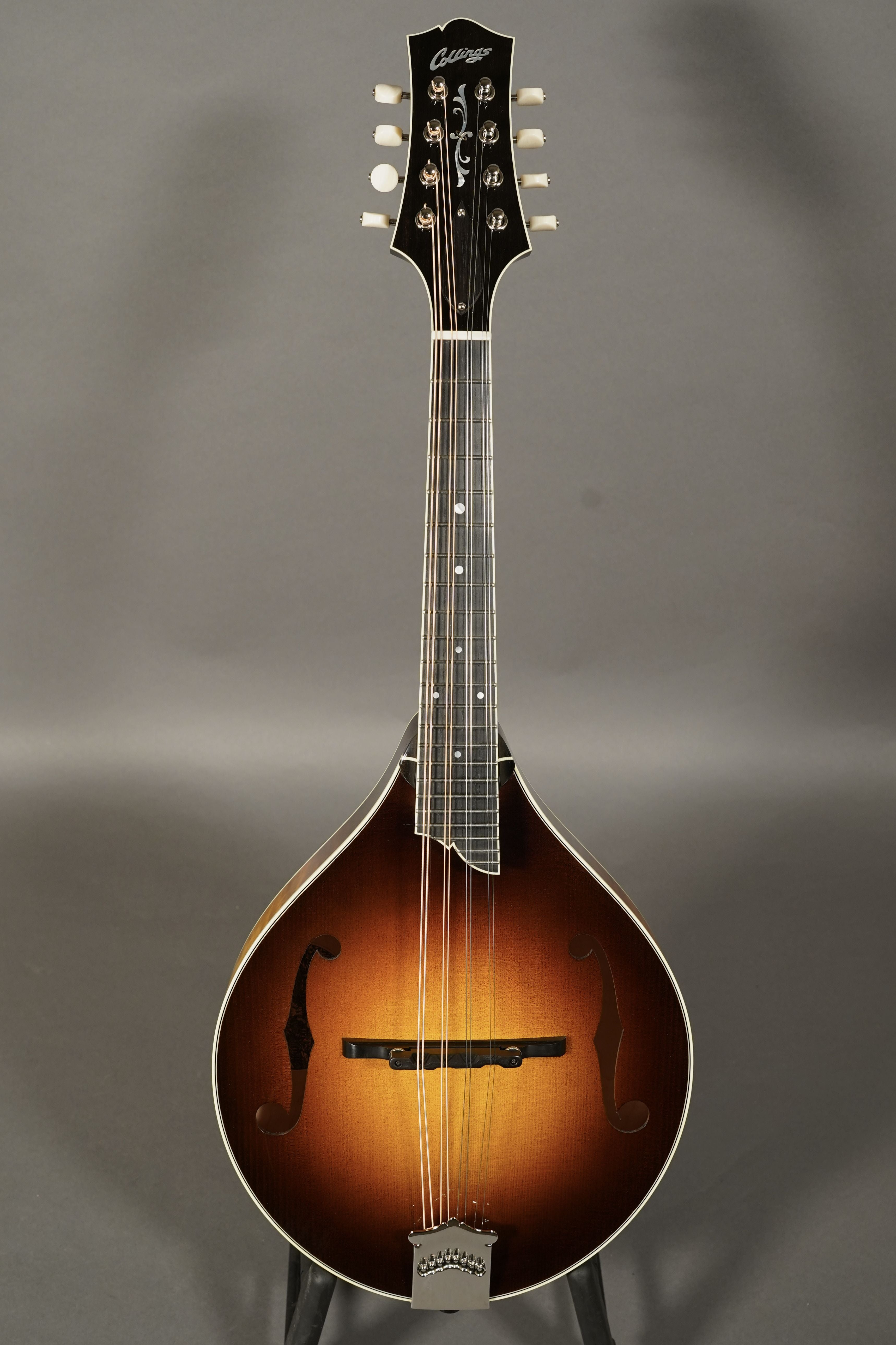 Mandolins | Dusty Strings Music Store