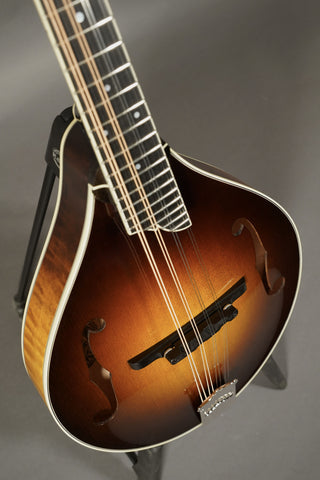 Collings MT2