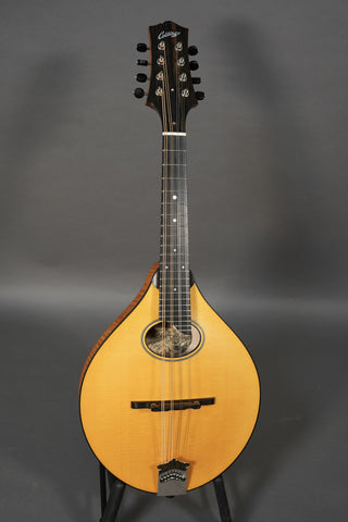 Collings MT O Honey Amber