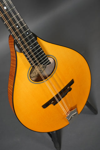 Collings MT O Honey Amber
