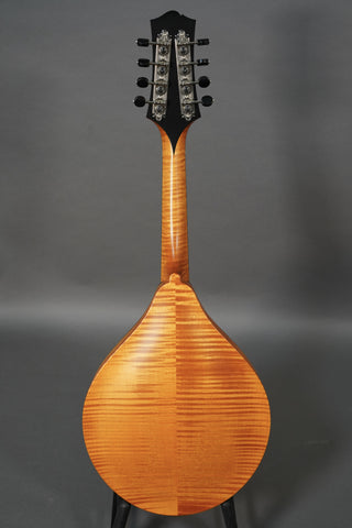 Collings MT O Honey Amber