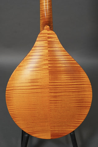 Collings MT O Honey Amber