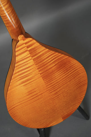 Collings MT O Honey Amber