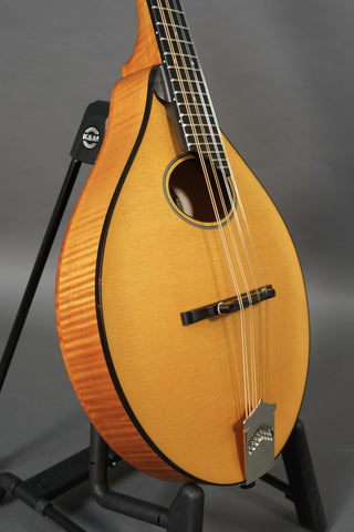 Collings MT O Honey Amber