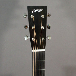 Collings OM1 Cutaway