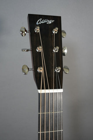 Collings OM1 E Cutaway