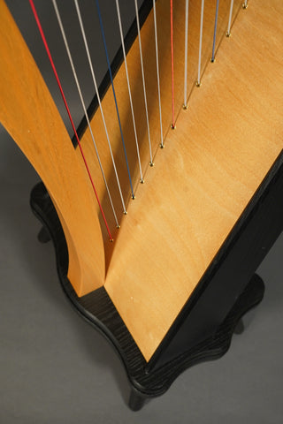 Used Dusty Strings Ravenna 34F