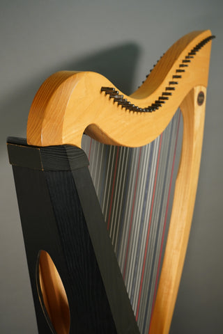 Used Dusty Strings Ravenna 34F