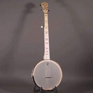 Deering Goodtime Americana