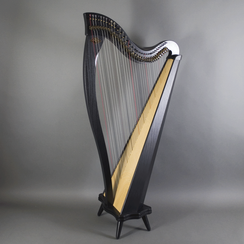 Dusty Strings Boulevard Classic 34