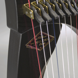 Dusty Strings Boulevard Classic 34