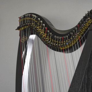 Dusty Strings Boulevard Classic 34