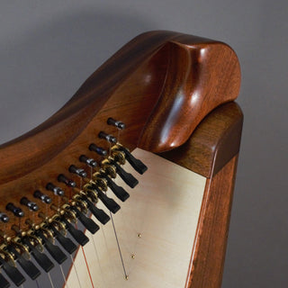 Dusty Strings Crescendo 34 Full