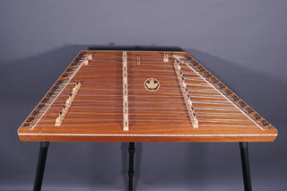 Dusty Strings D300 w/TriStander installed