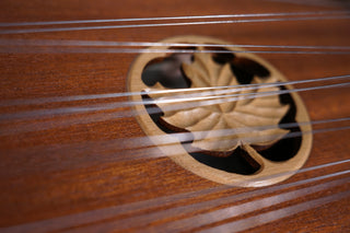 Dusty Strings D300 w/TriStander installed