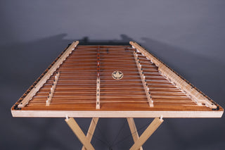 Dusty Strings D570 w/Dampers