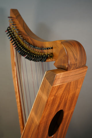 Dusty Strings FH26 Walnut