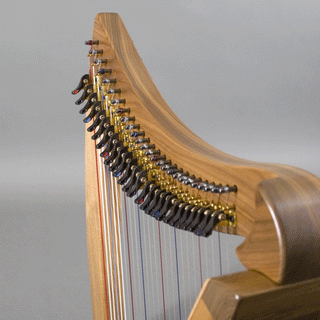 Dusty Strings FH26 Walnut