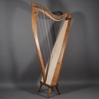 Dusty Strings FH34S Walnut w/Camac