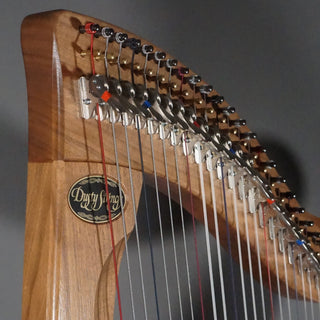 Dusty Strings FH34S Walnut w/Camac