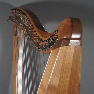 Dusty Strings FH34S Walnut w/Camac