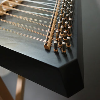 Dusty Strings Overture Package, black finish