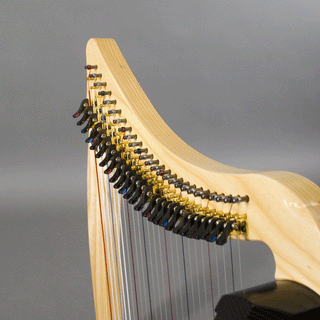 Dusty Strings Ravenna 26 Full