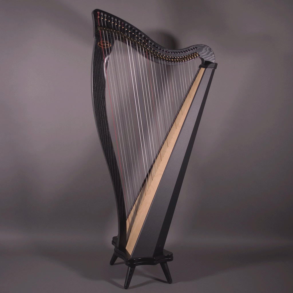 Dusty Strings Ravenna 34 Full, Black Neck