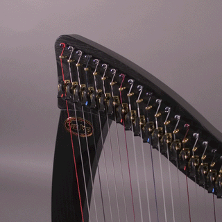 Dusty Strings Ravenna 34 Full, Black Neck