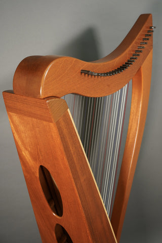 Used Dusty Strings Allegro Partially-Levered