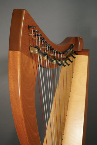 Used Dusty Strings Allegro Partially-Levered