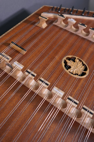 Dusty Strings D300 w/TriStander installed