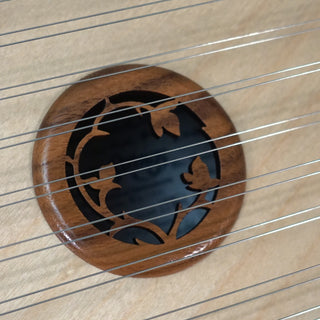 Dusty Strings Overture Package