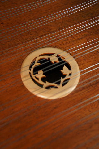 Used Dusty Strings D35