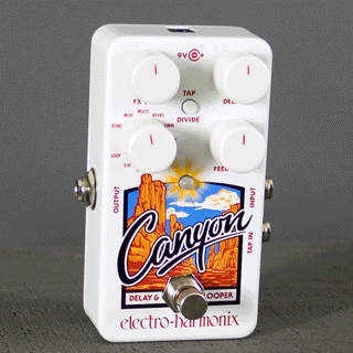 Electro Harmonix Canyon