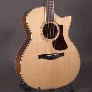 Eastman AC322CE