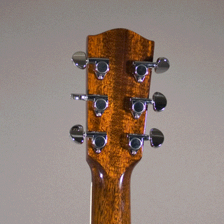 Eastman AC422CE