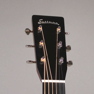 Eastman E10 OM-TC