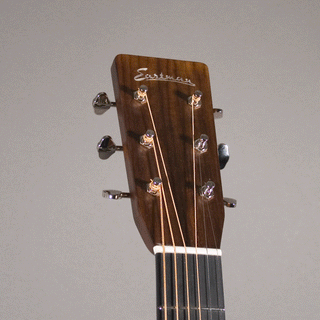 Eastman E20 D-TC