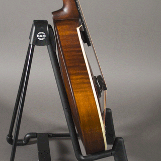 Eastman MD305